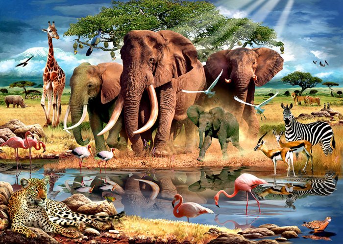 RGS-Group-Kruger-Park63-pieces