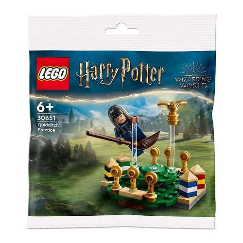 LEGO® Harry Potter™ Quidditch™ Practice Polybag 30651