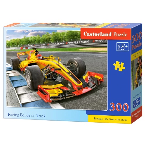 300 Pce Castorland Racing Bolide on Track