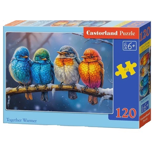 120 Pce Castorland Together Warmer