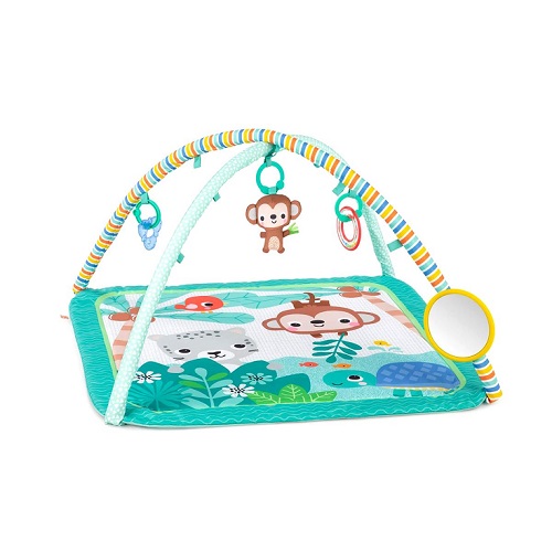 Bright Starts Palm Party Activity Gym