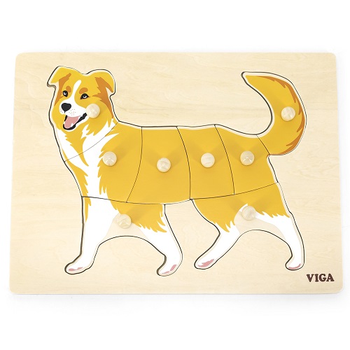 9 Pce RGS Montesorri Dog Peg Puzzle