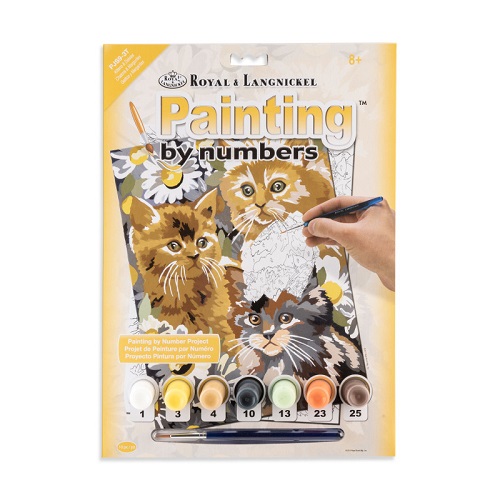 Paint By Number Junior Small Kitten and Daisies