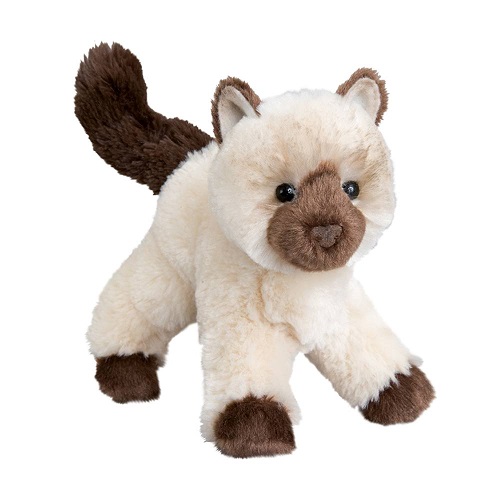 Plus Cat Himalayan Hilda